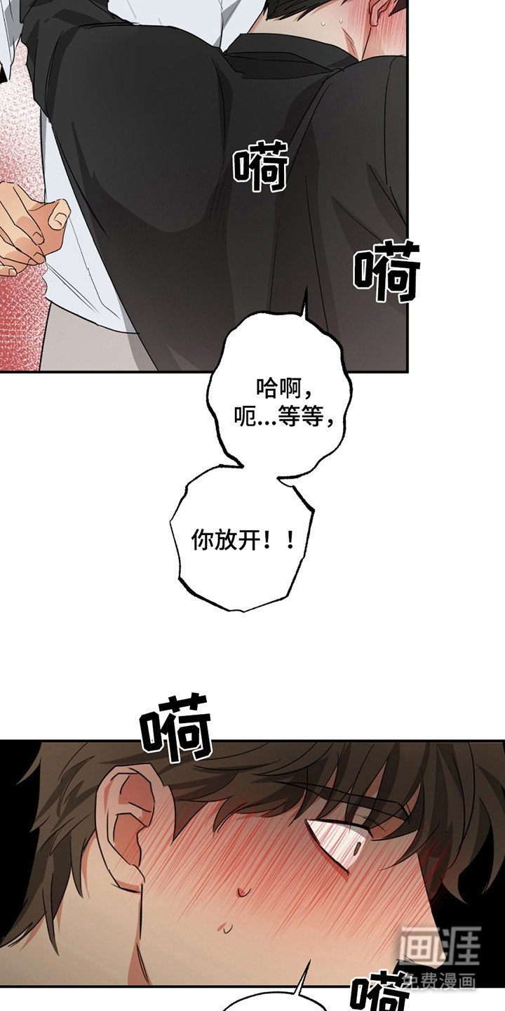 第12章：没有抵抗力