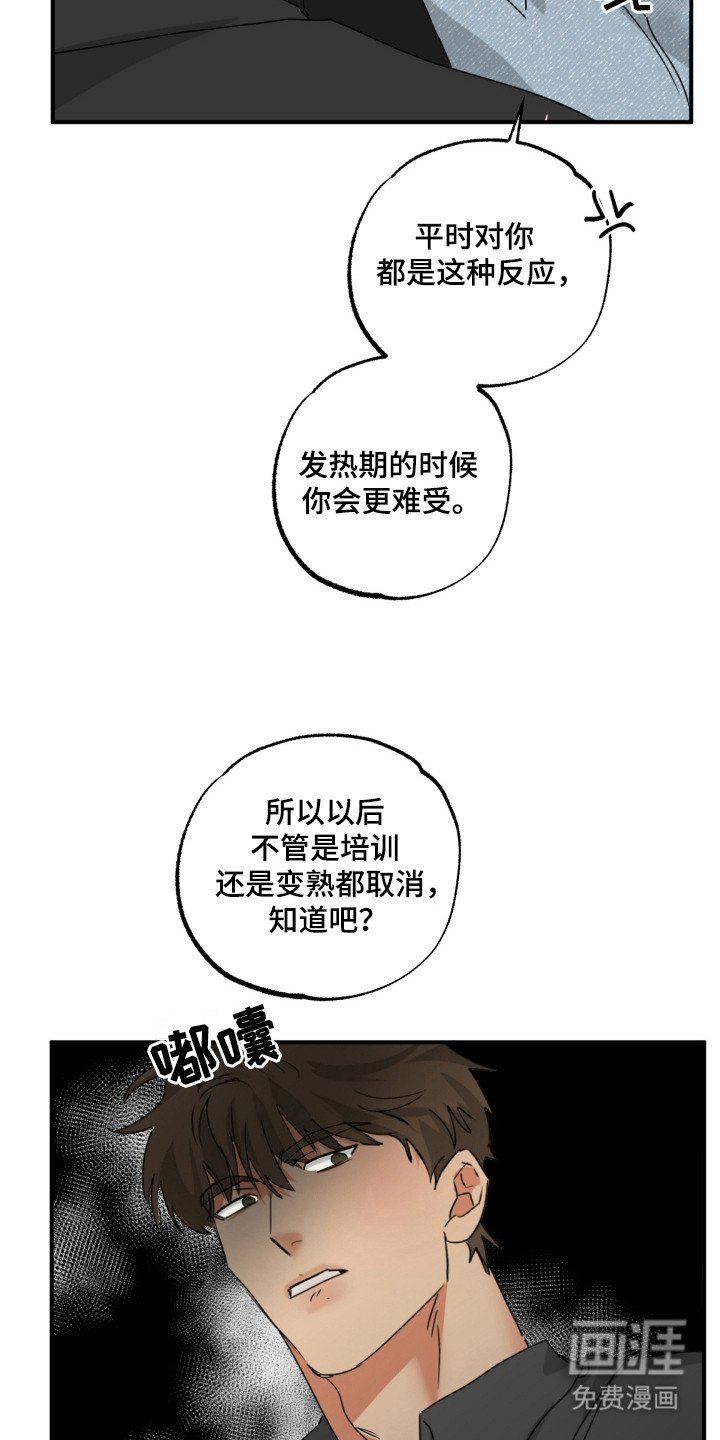 第19章：不能承受