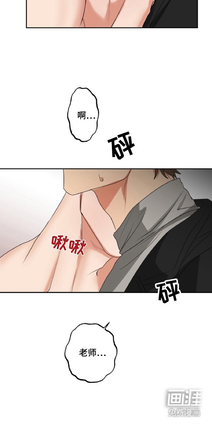 第24章：成为伴侣