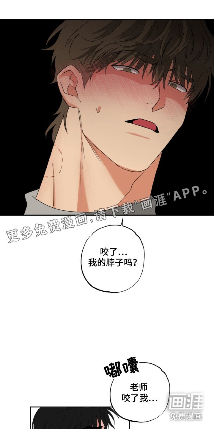 第24章：成为伴侣