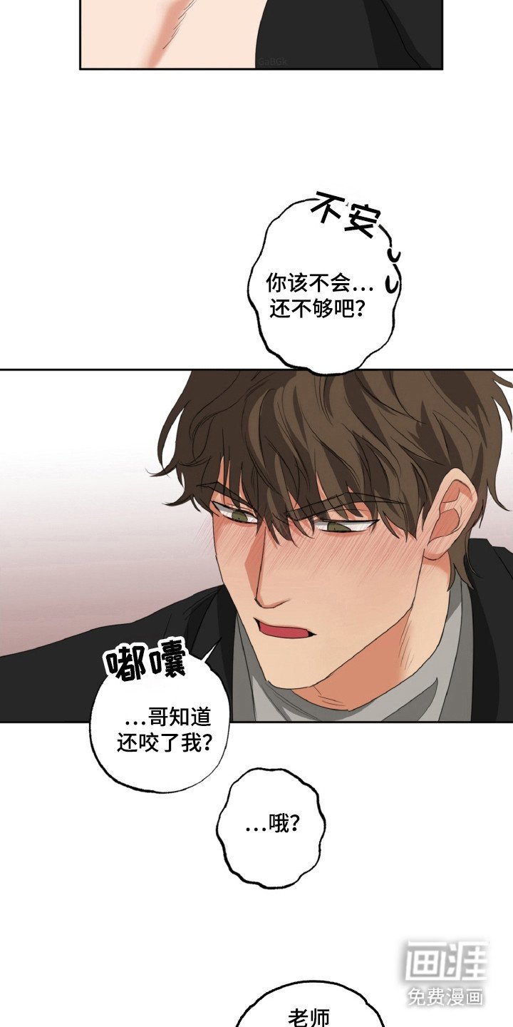 第24章：成为伴侣