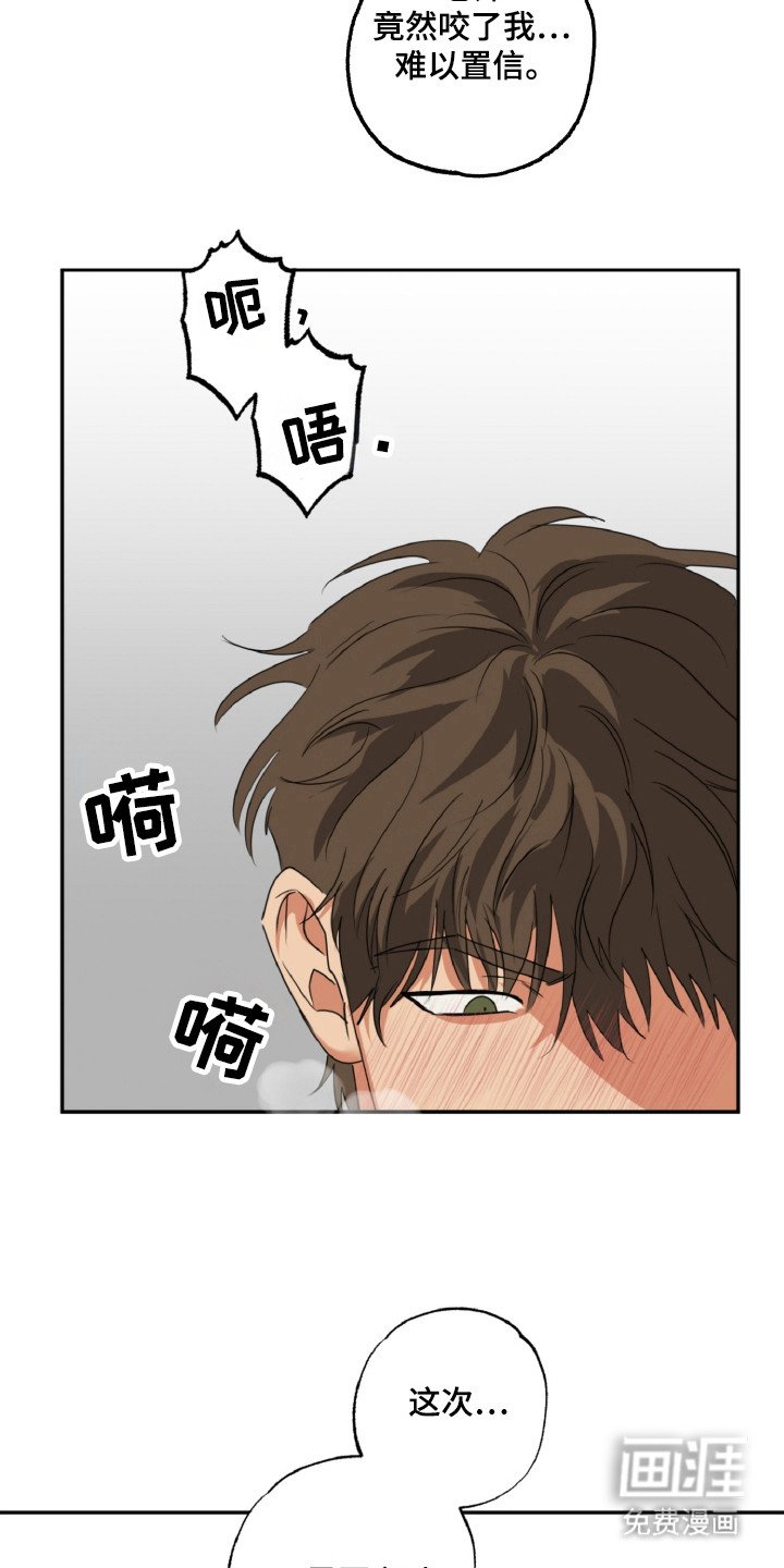 第24章：成为伴侣