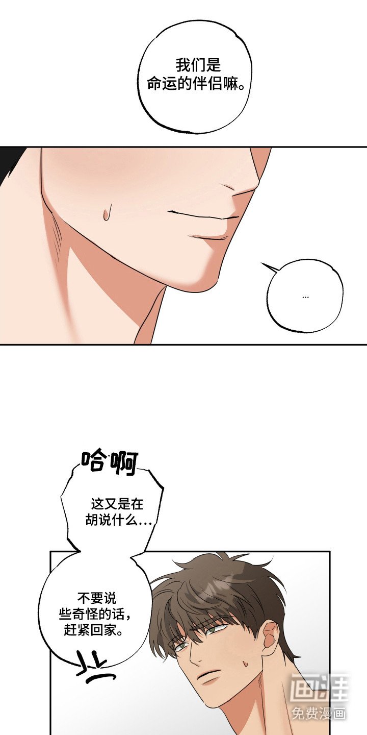 第28章：命运伴侣