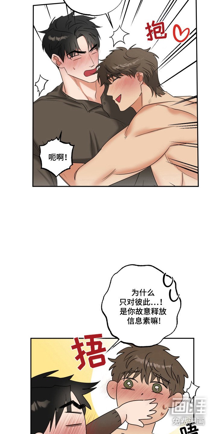 第28章：命运伴侣