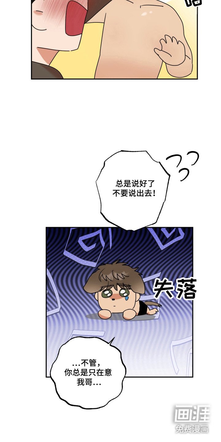 第28章：命运伴侣