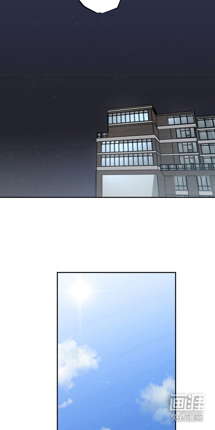 第28章：命运伴侣