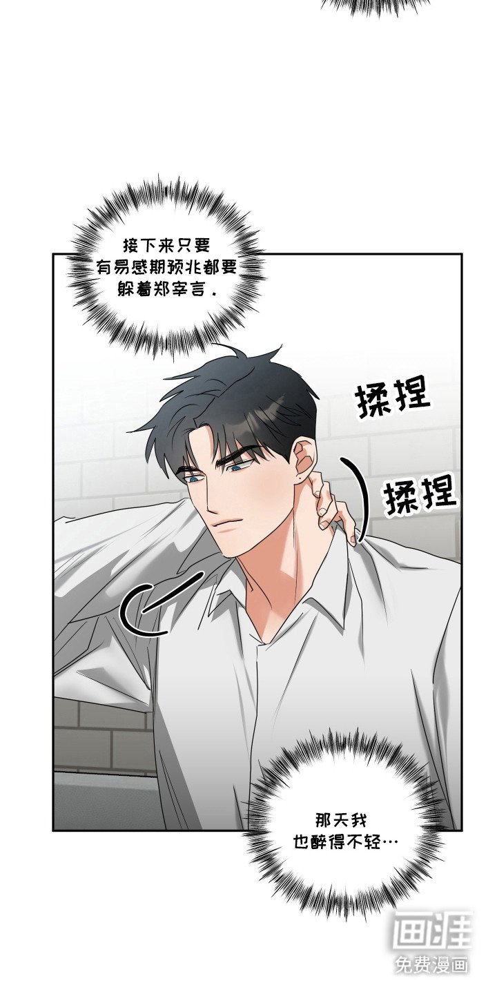 第28章：命运伴侣