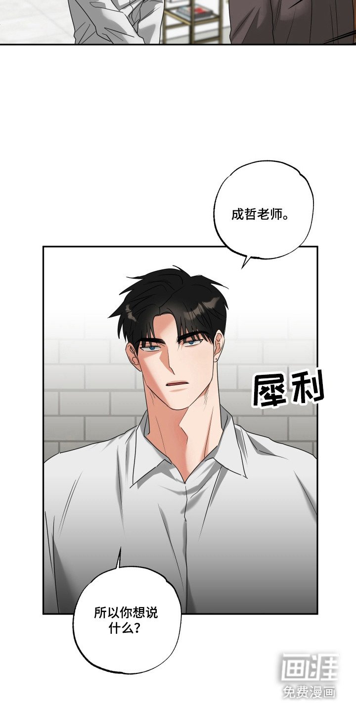 第28章：命运伴侣