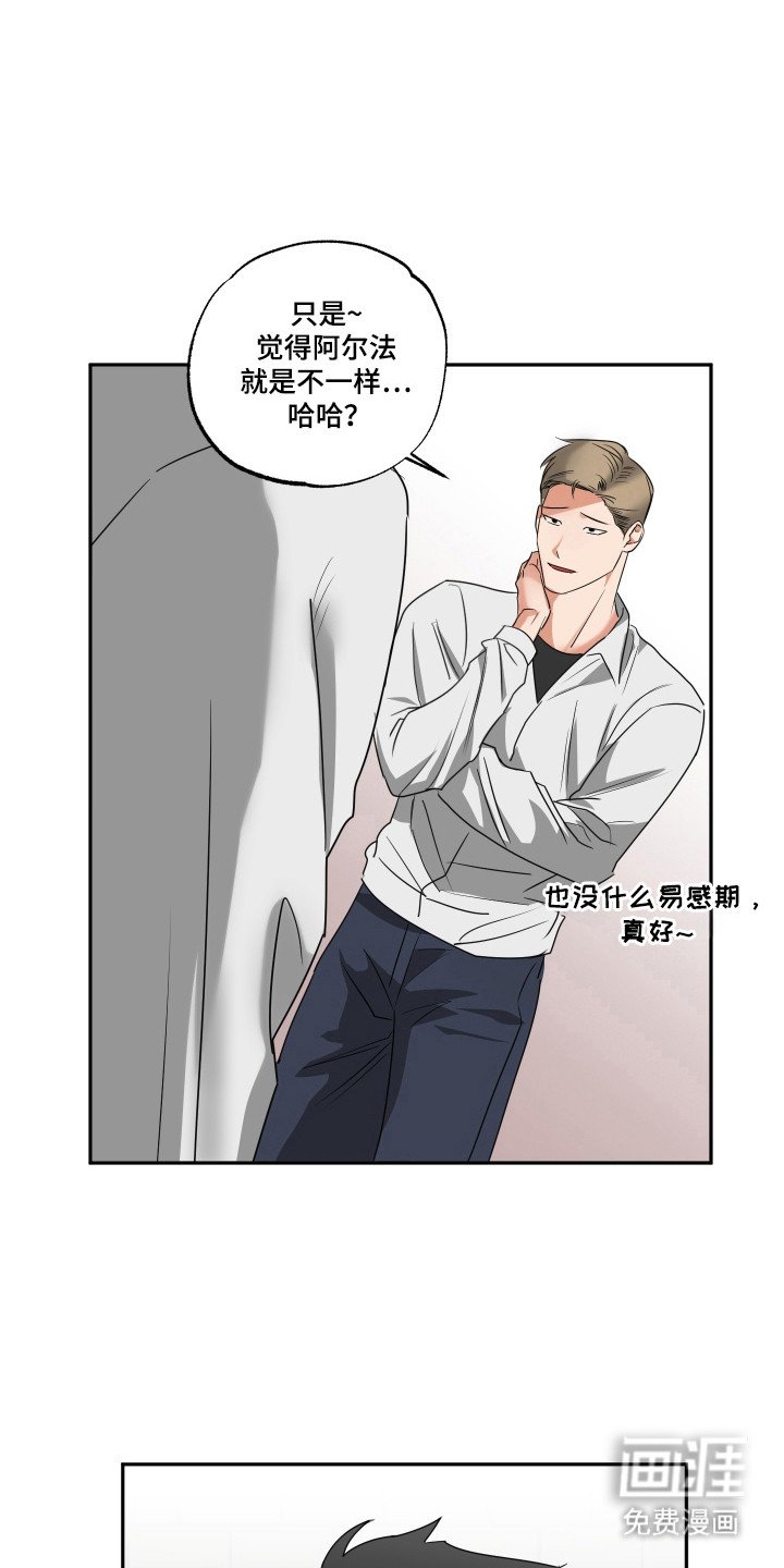 第28章：命运伴侣
