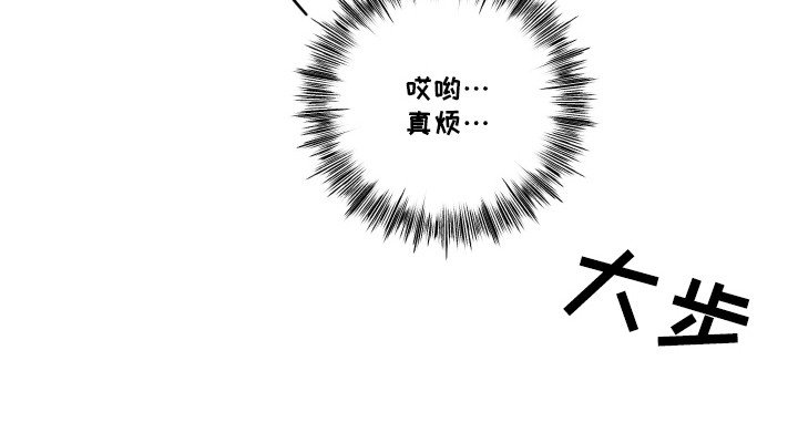 第28章：命运伴侣