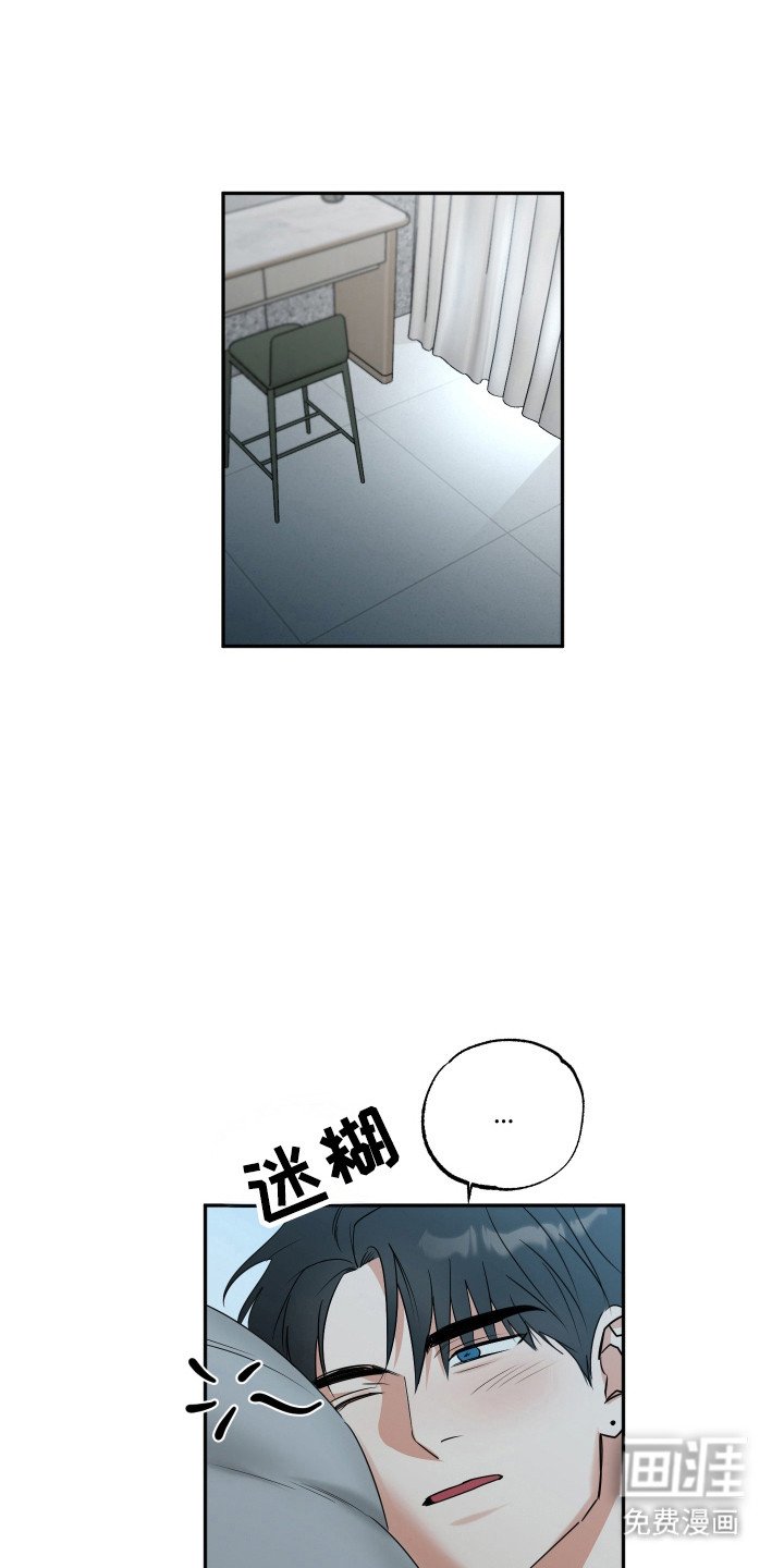 第37章：公园散步