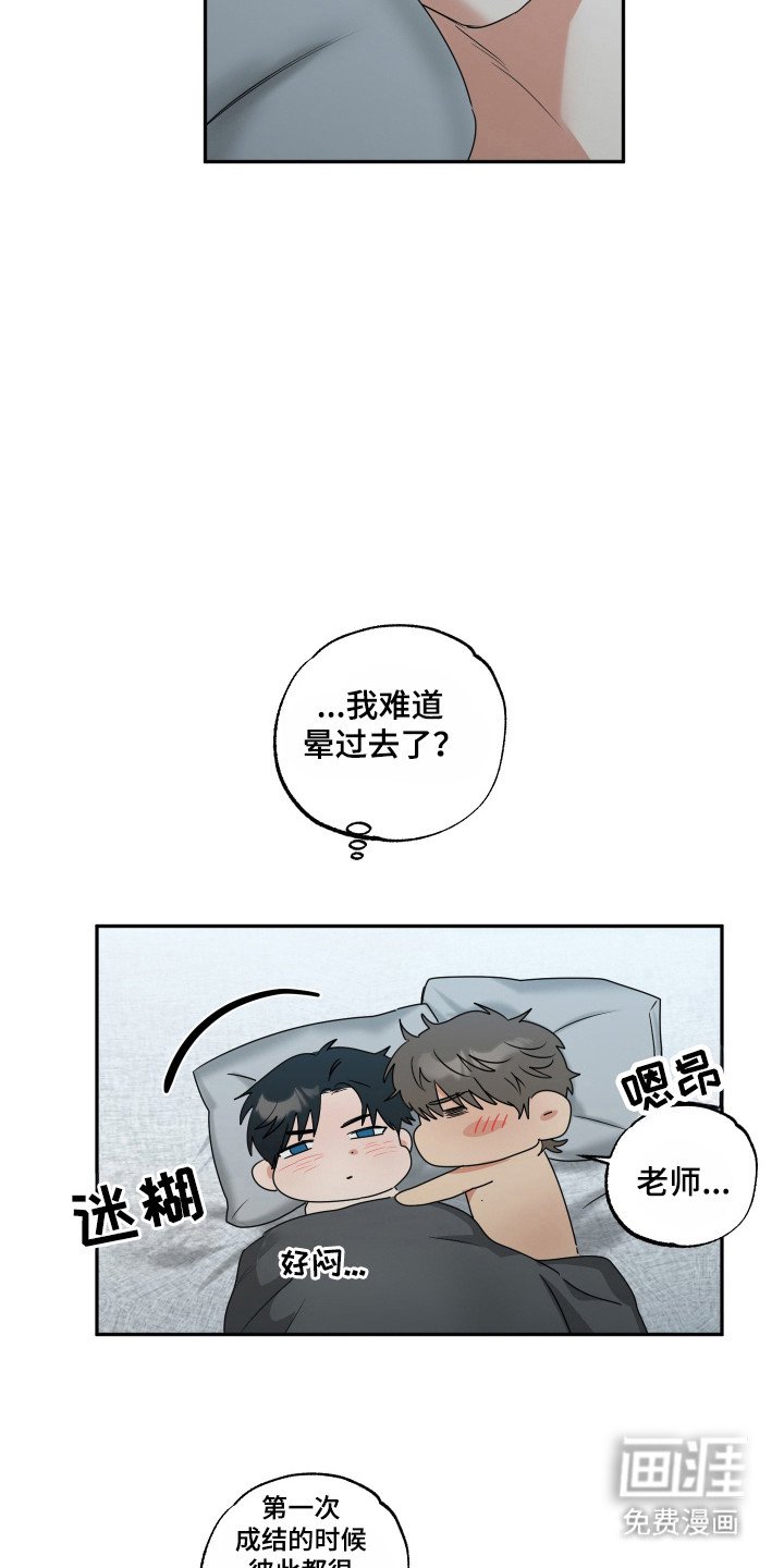 第37章：公园散步