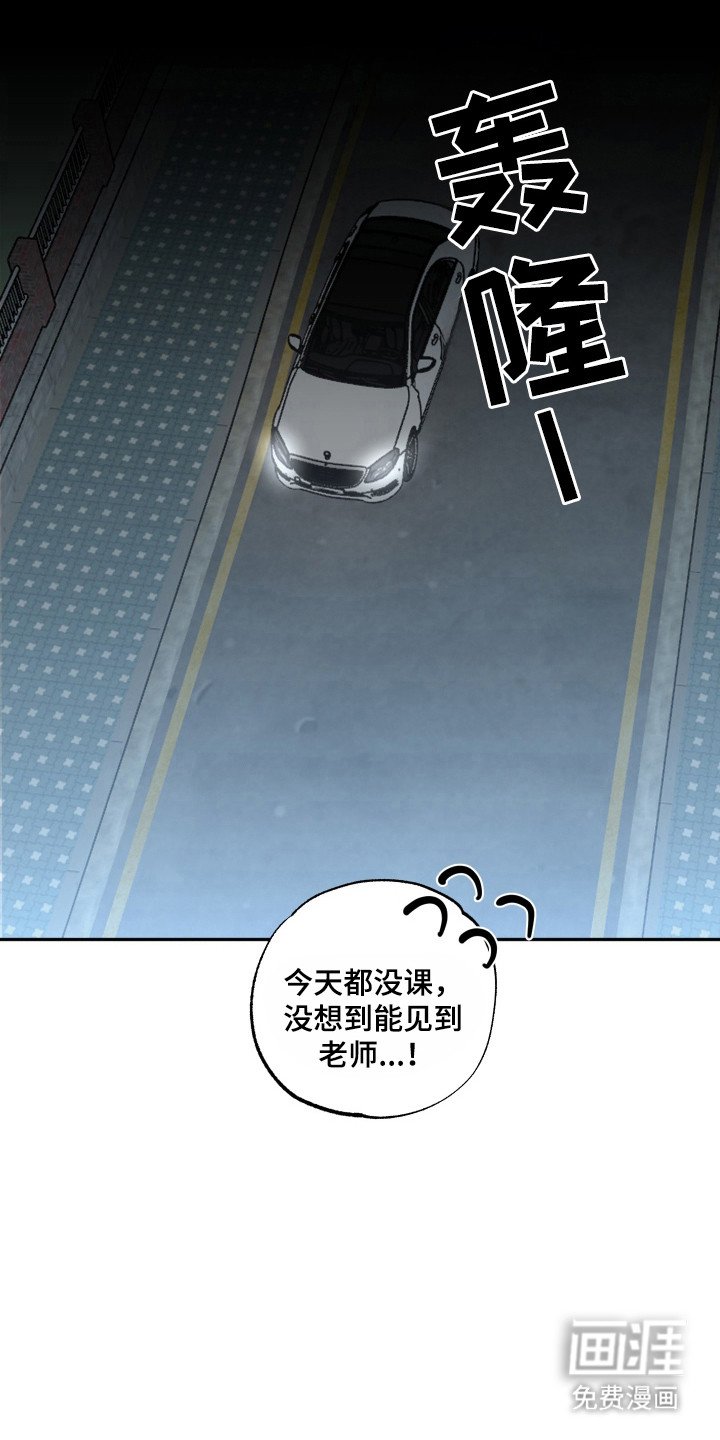 第37章：公园散步