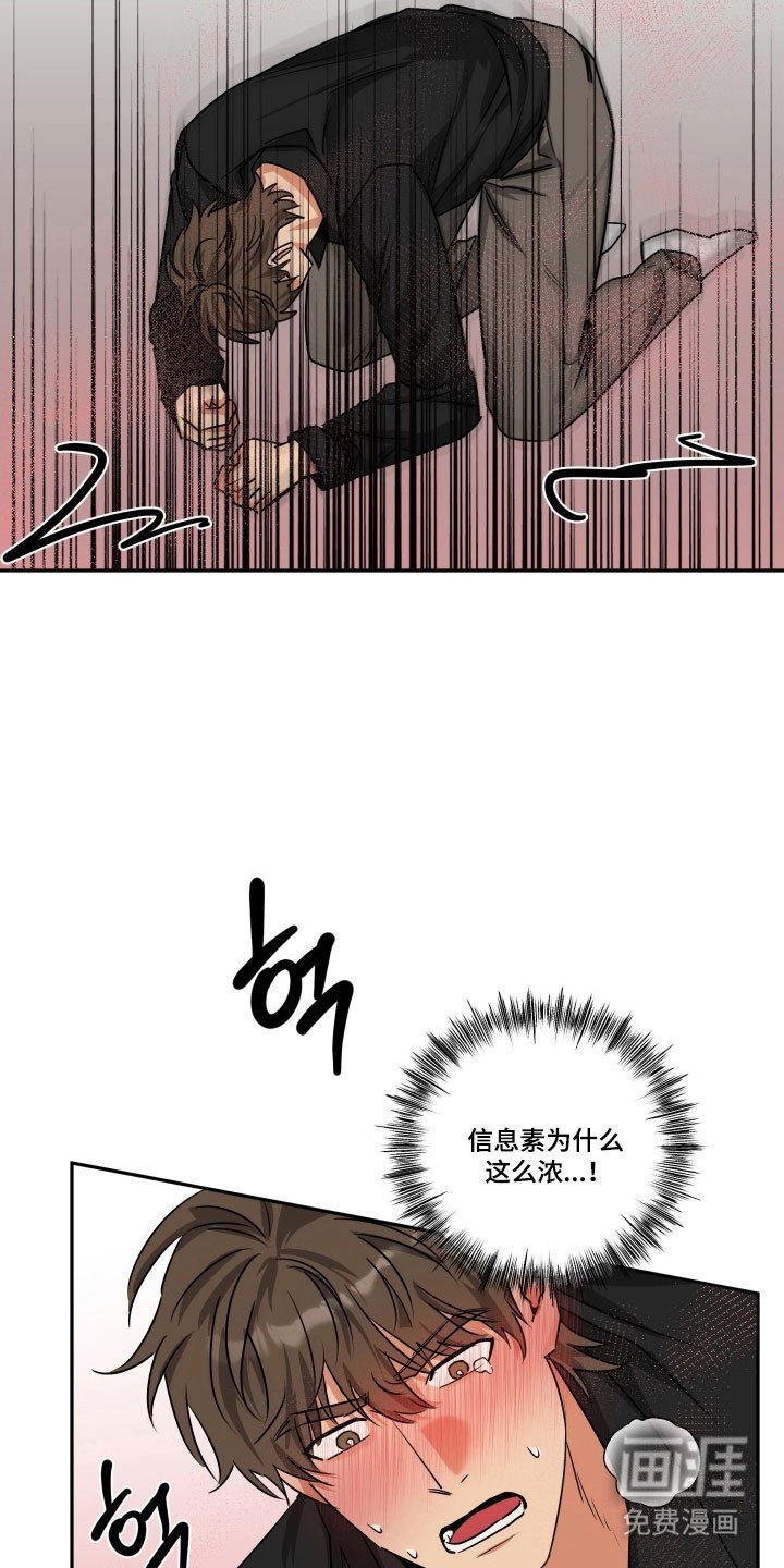 第53章：【第二季】强烈信息素
