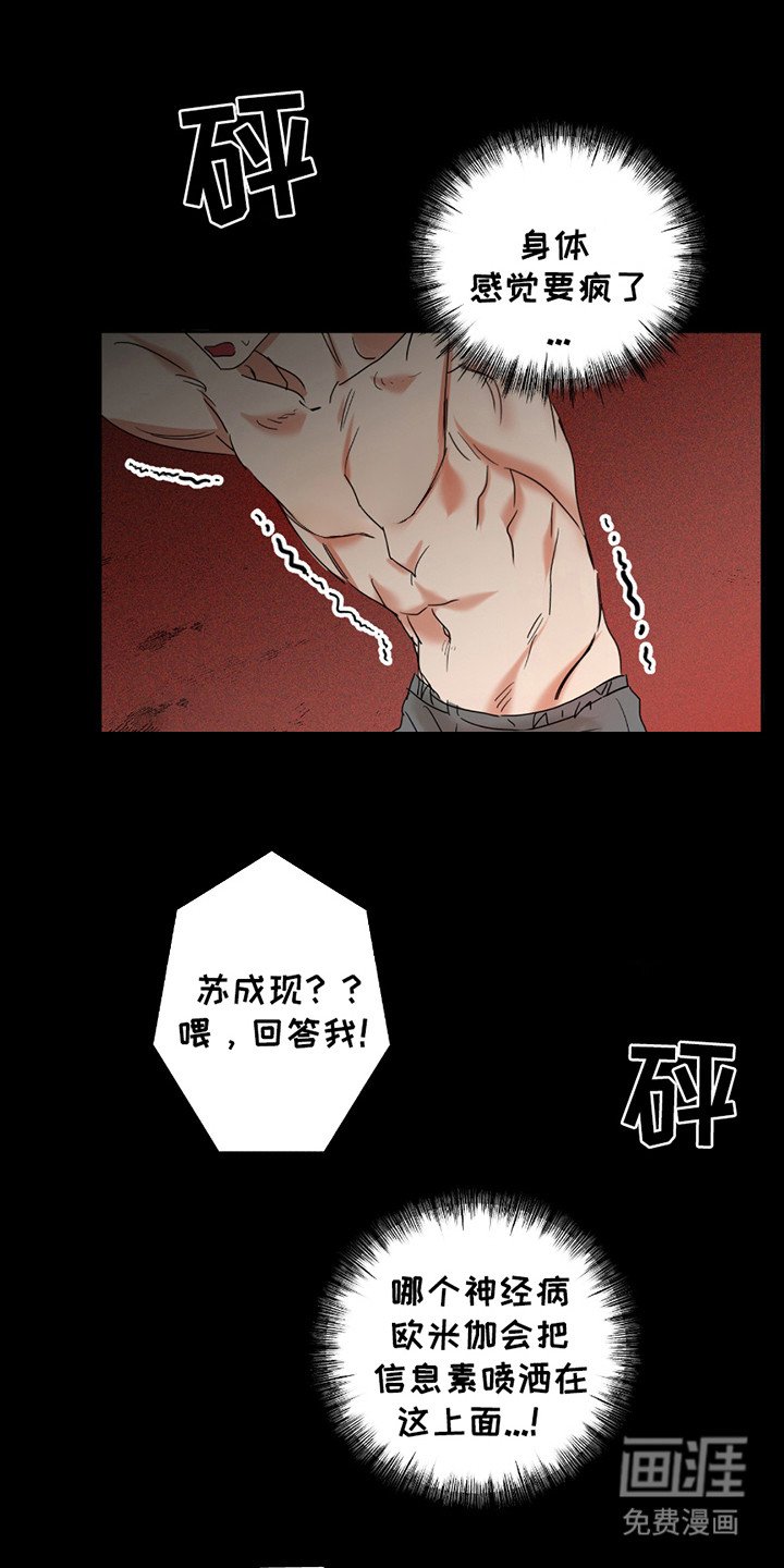 第6章：信息素