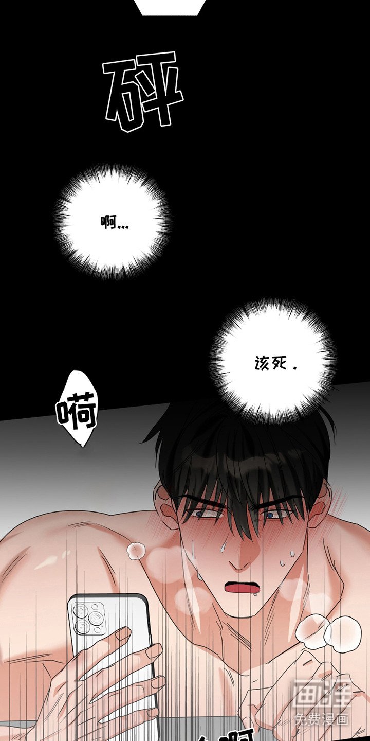 第6章：信息素