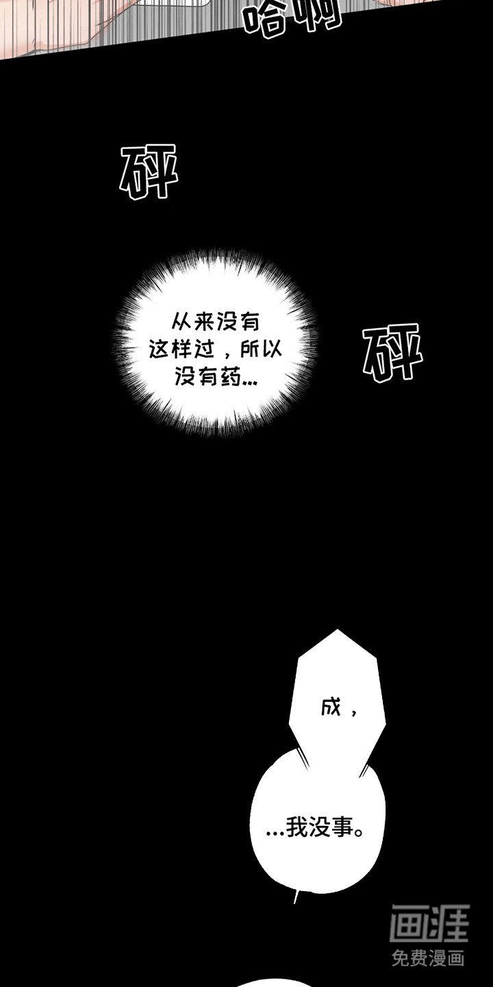 第6章：信息素