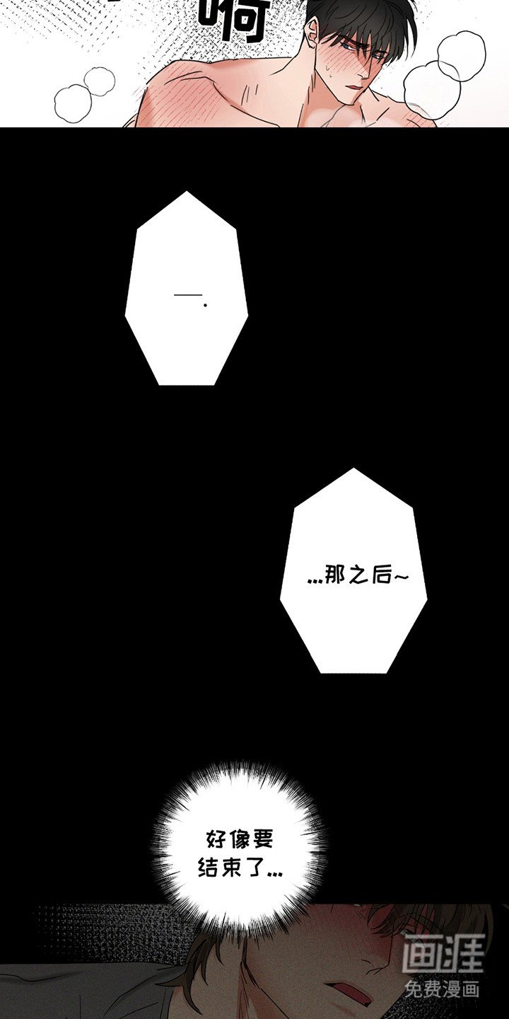 第6章：信息素