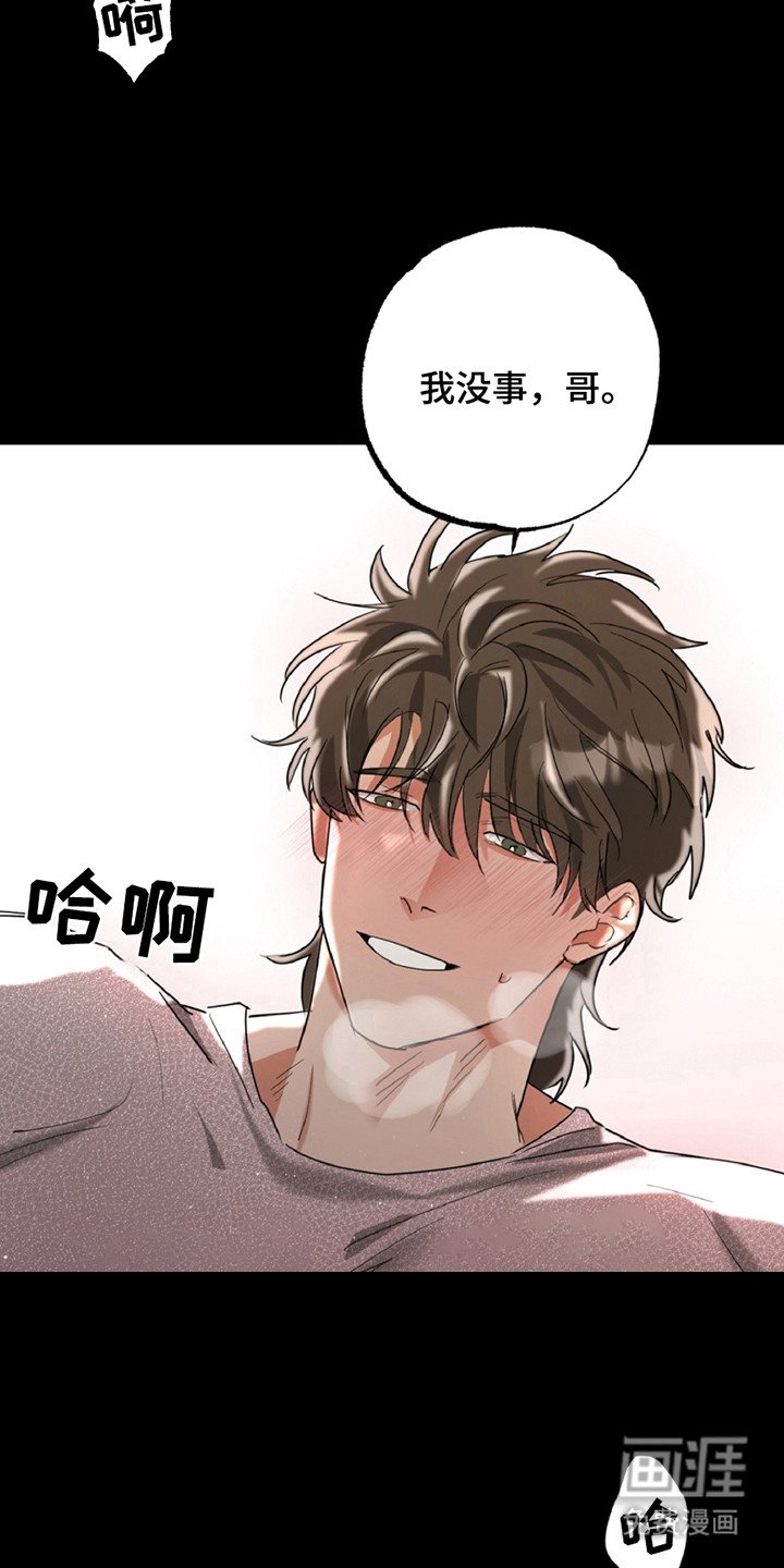 第6章：信息素