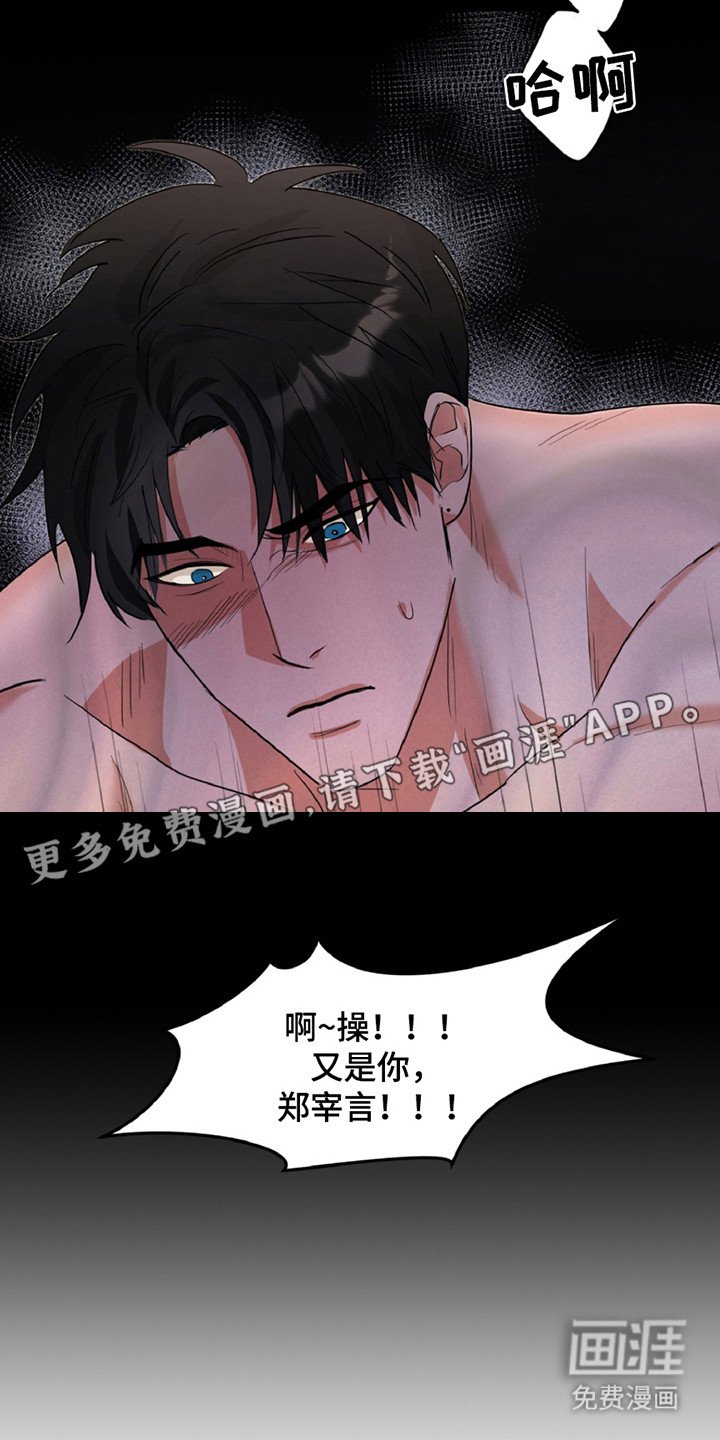 第6章：信息素