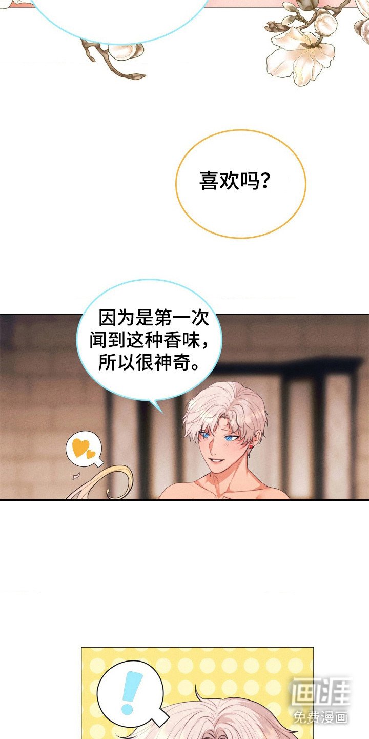 第24章：好甜