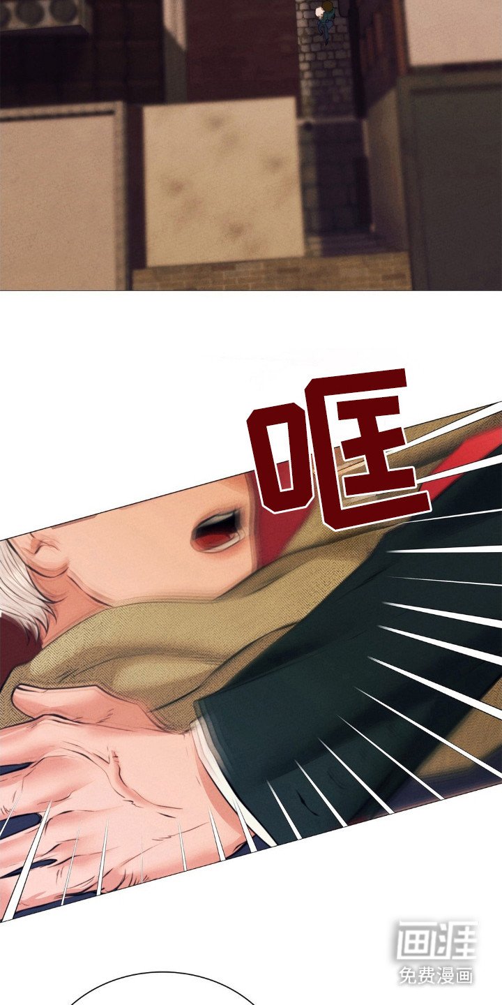 第29章：你的荣幸