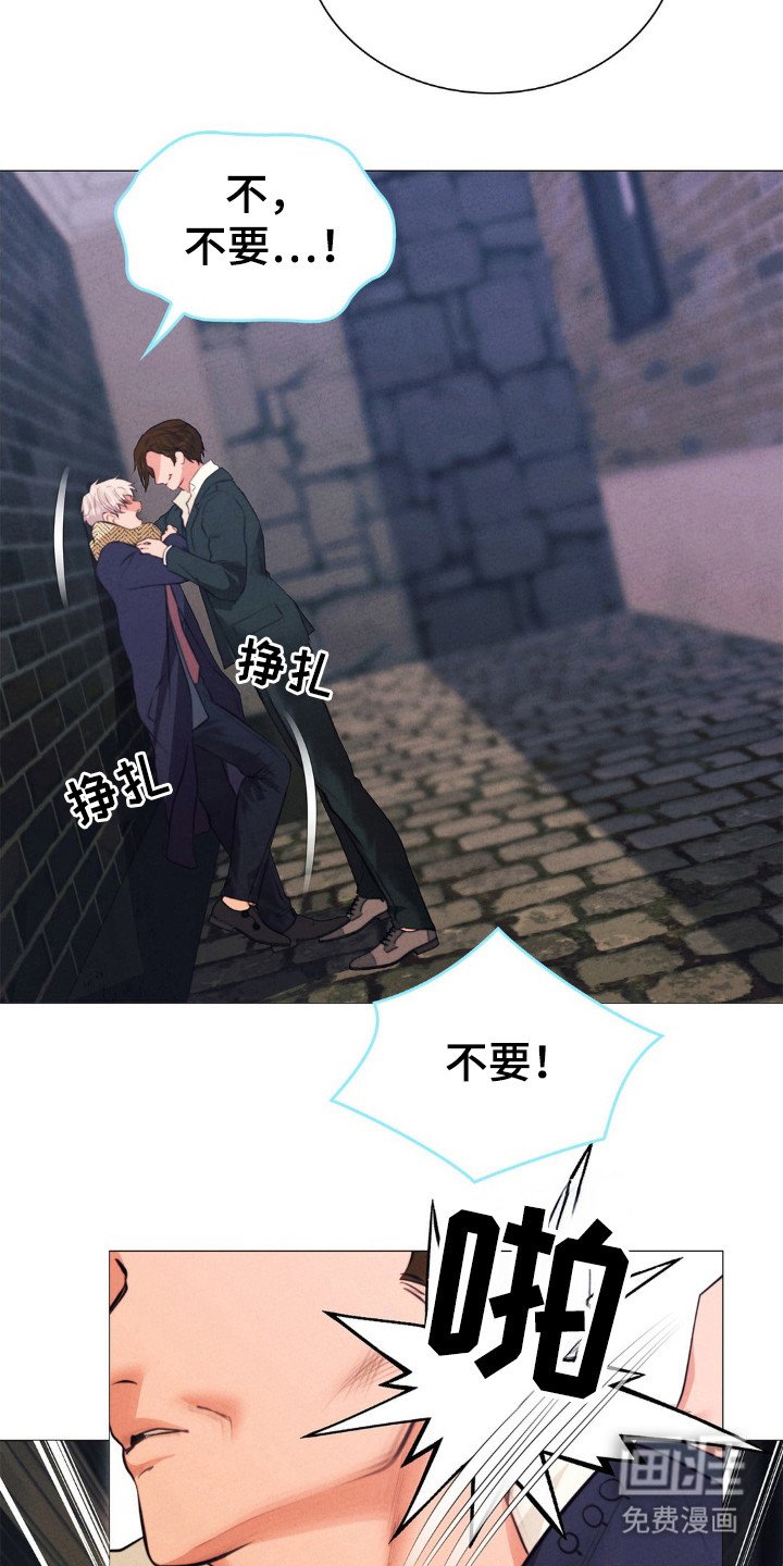 第29章：你的荣幸
