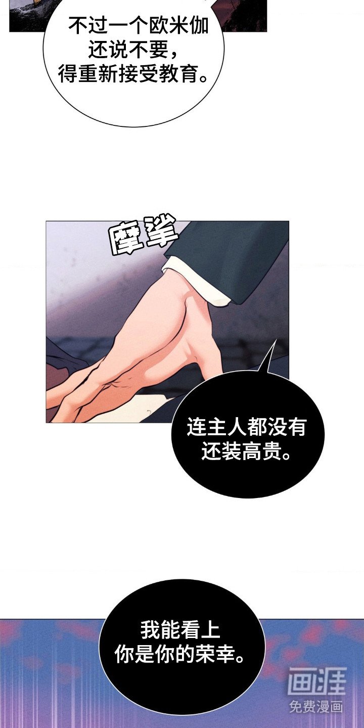 第29章：你的荣幸