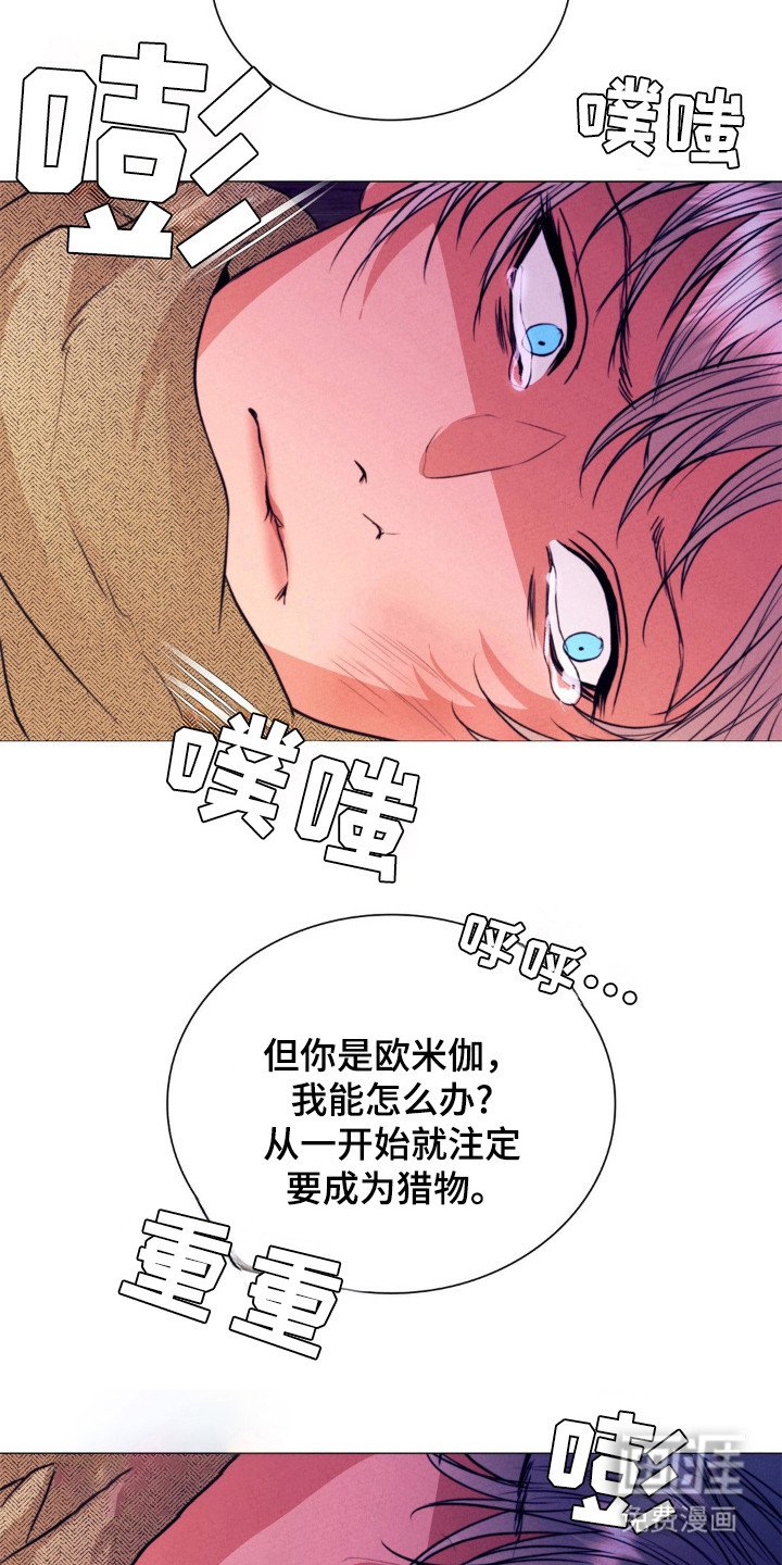 第37章：结束了