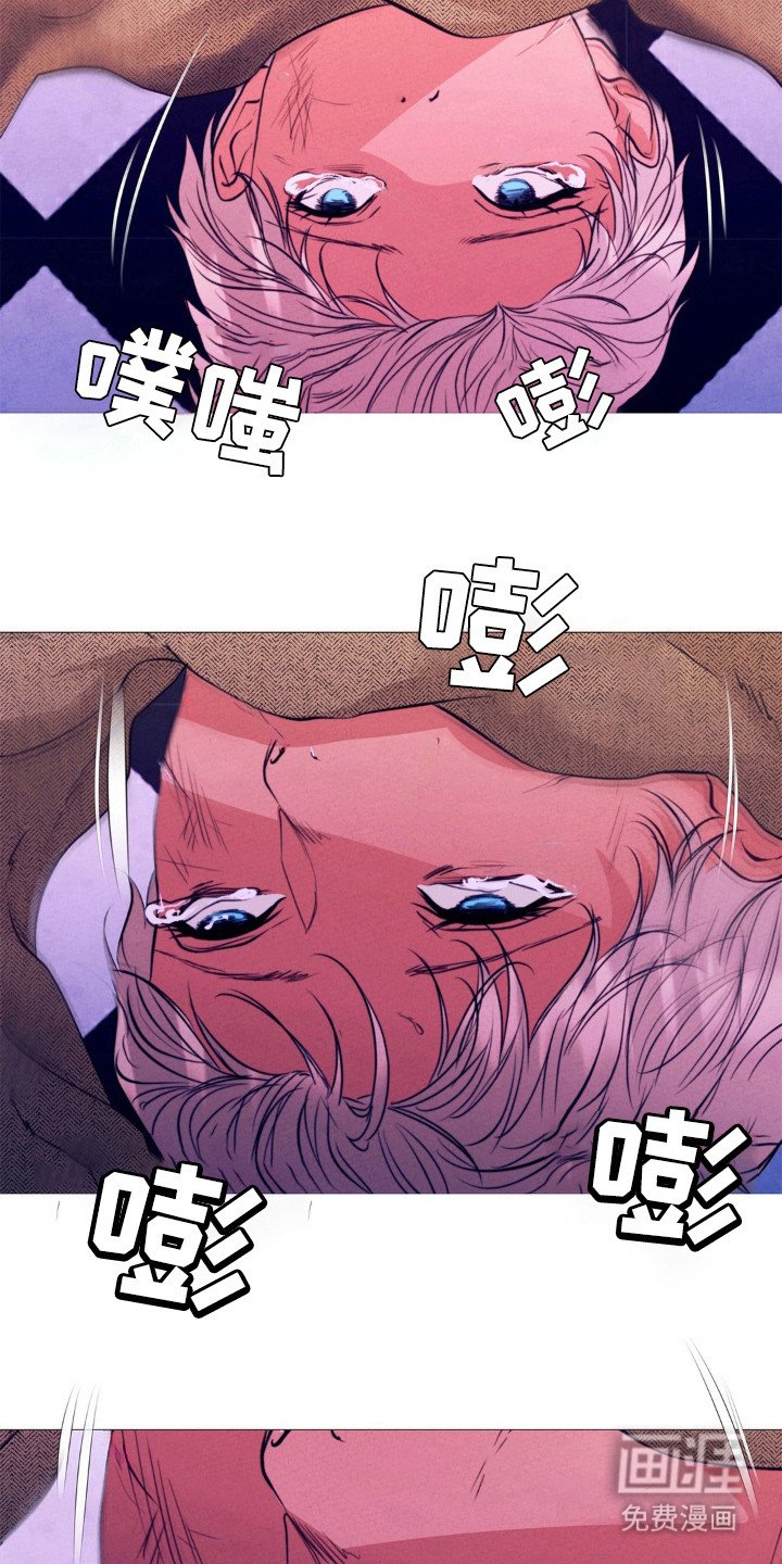 第37章：结束了