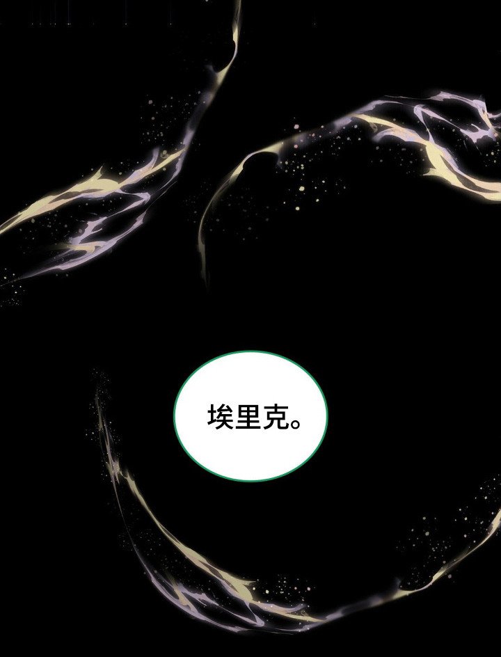 第45章：埃里克