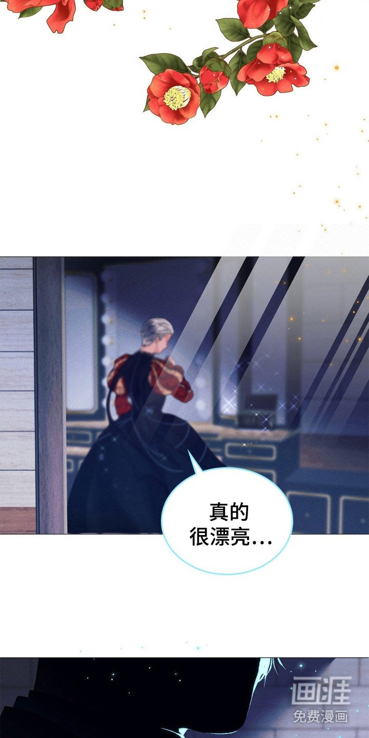 第48章：演出表演