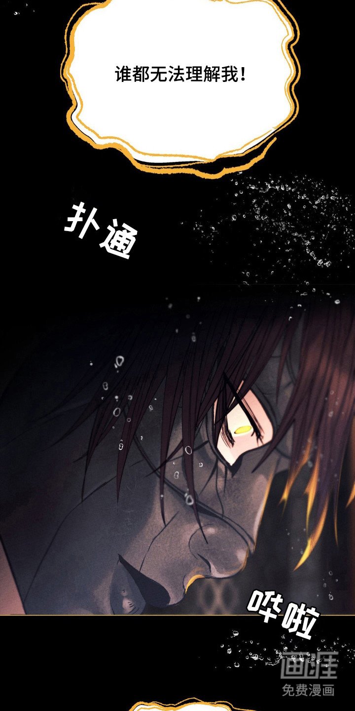 第56章：命运伴侣