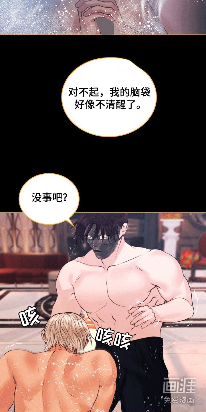 第56章：命运伴侣