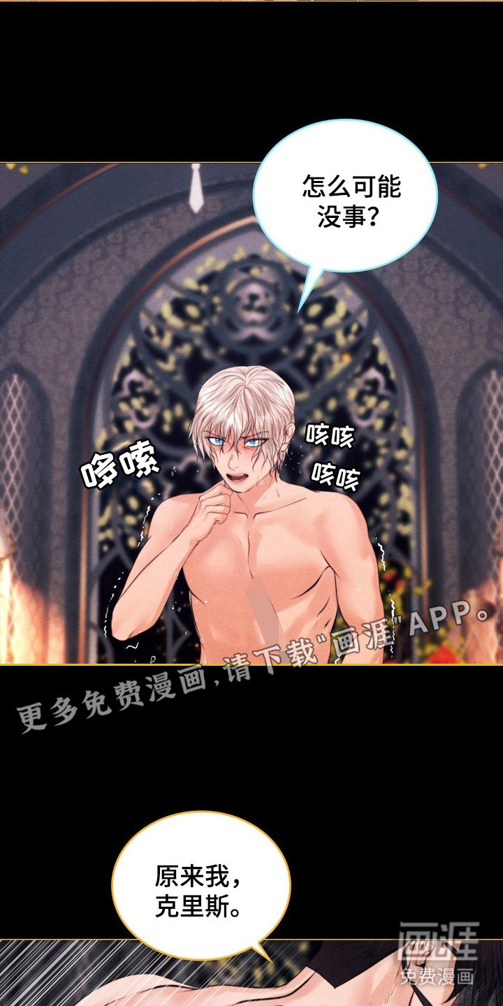 第56章：命运伴侣