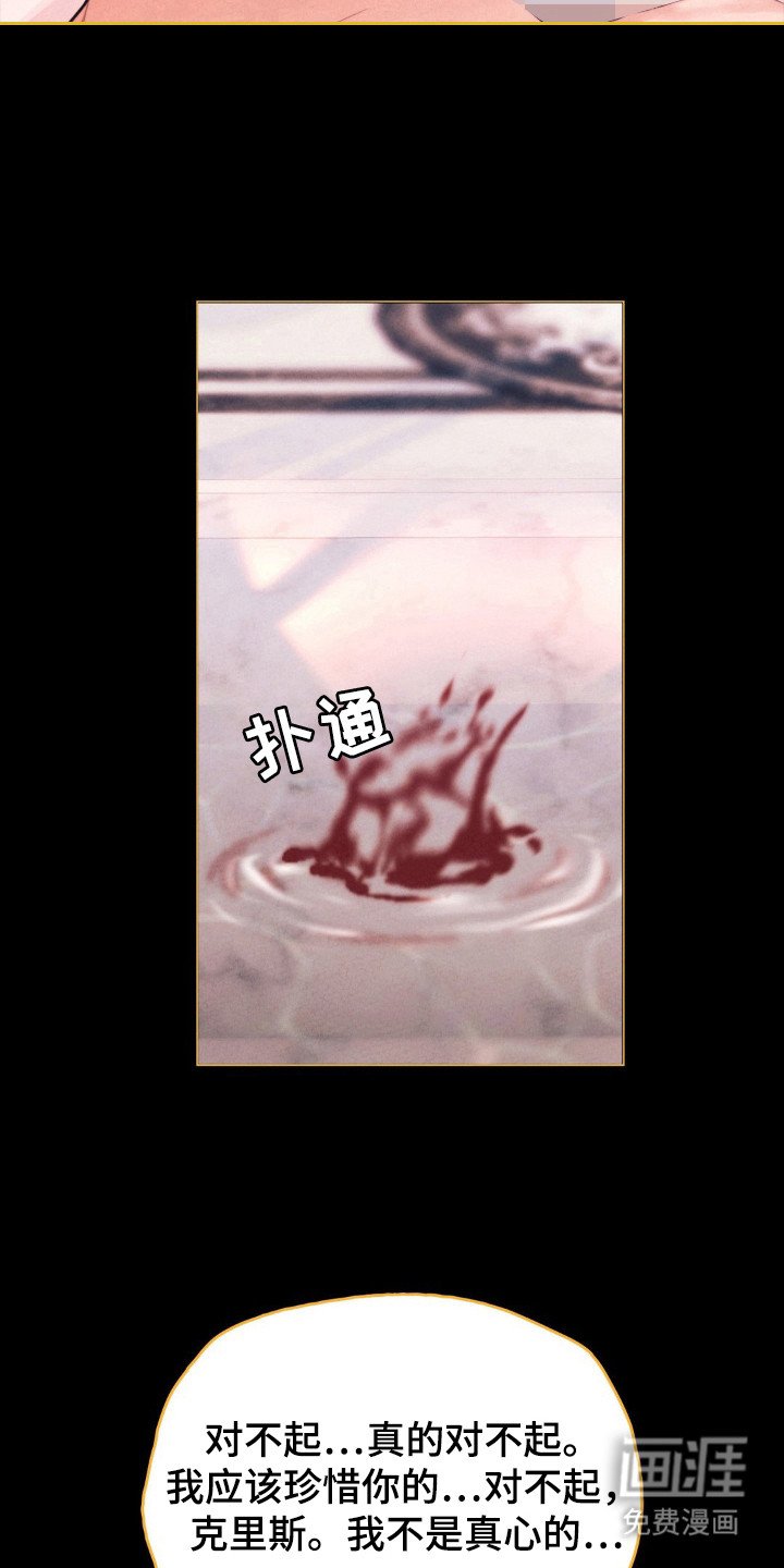 第56章：命运伴侣