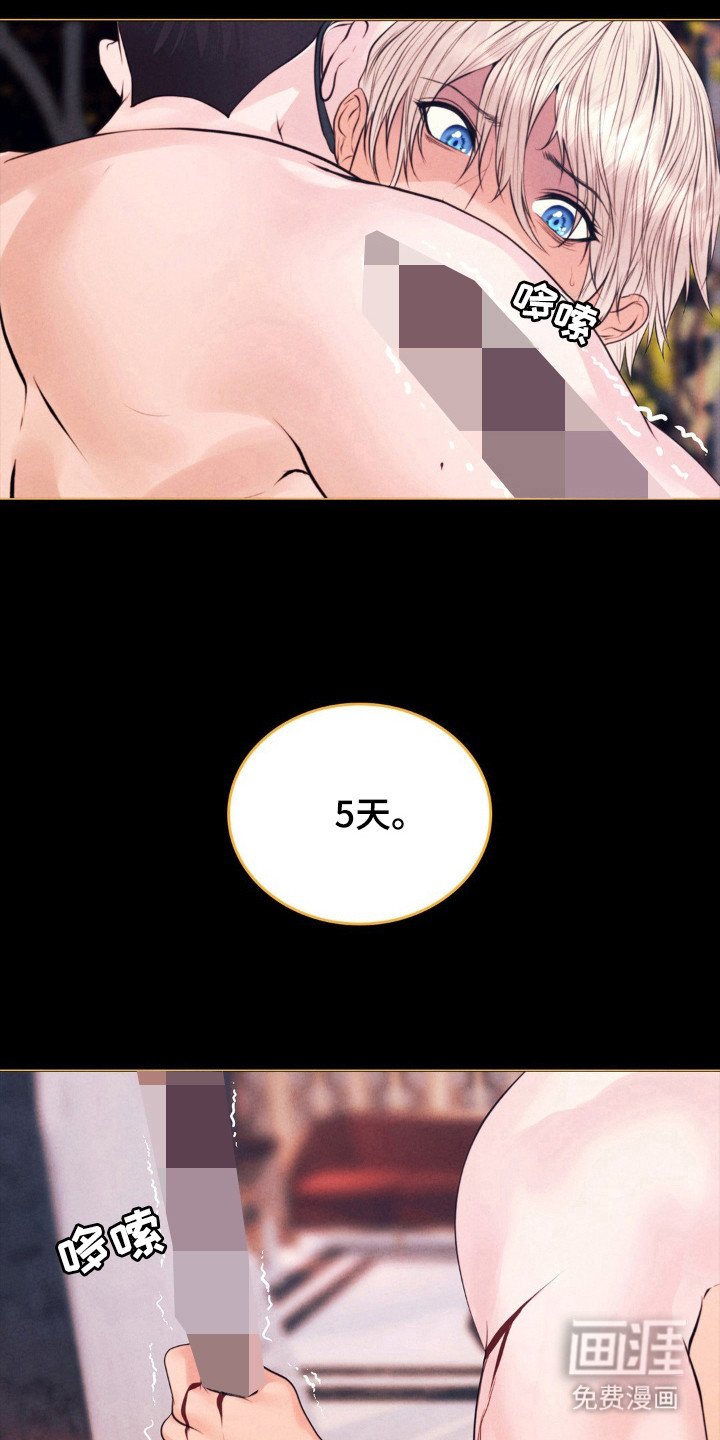 第56章：命运伴侣
