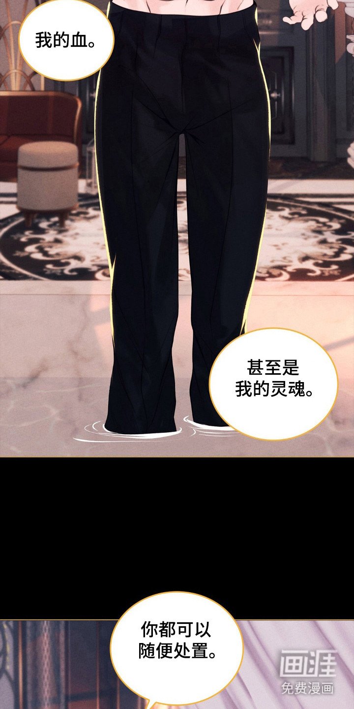 第56章：命运伴侣