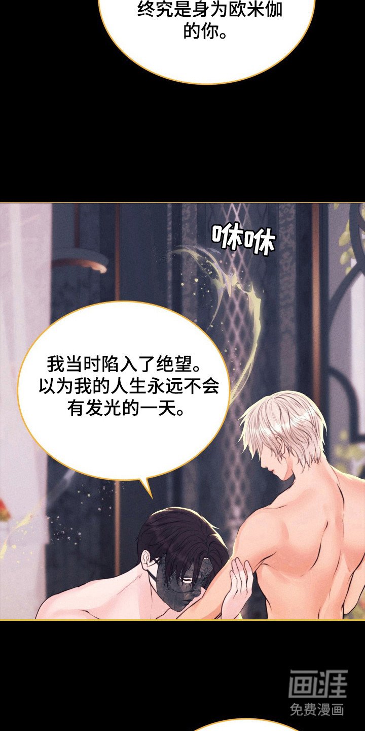 第56章：命运伴侣