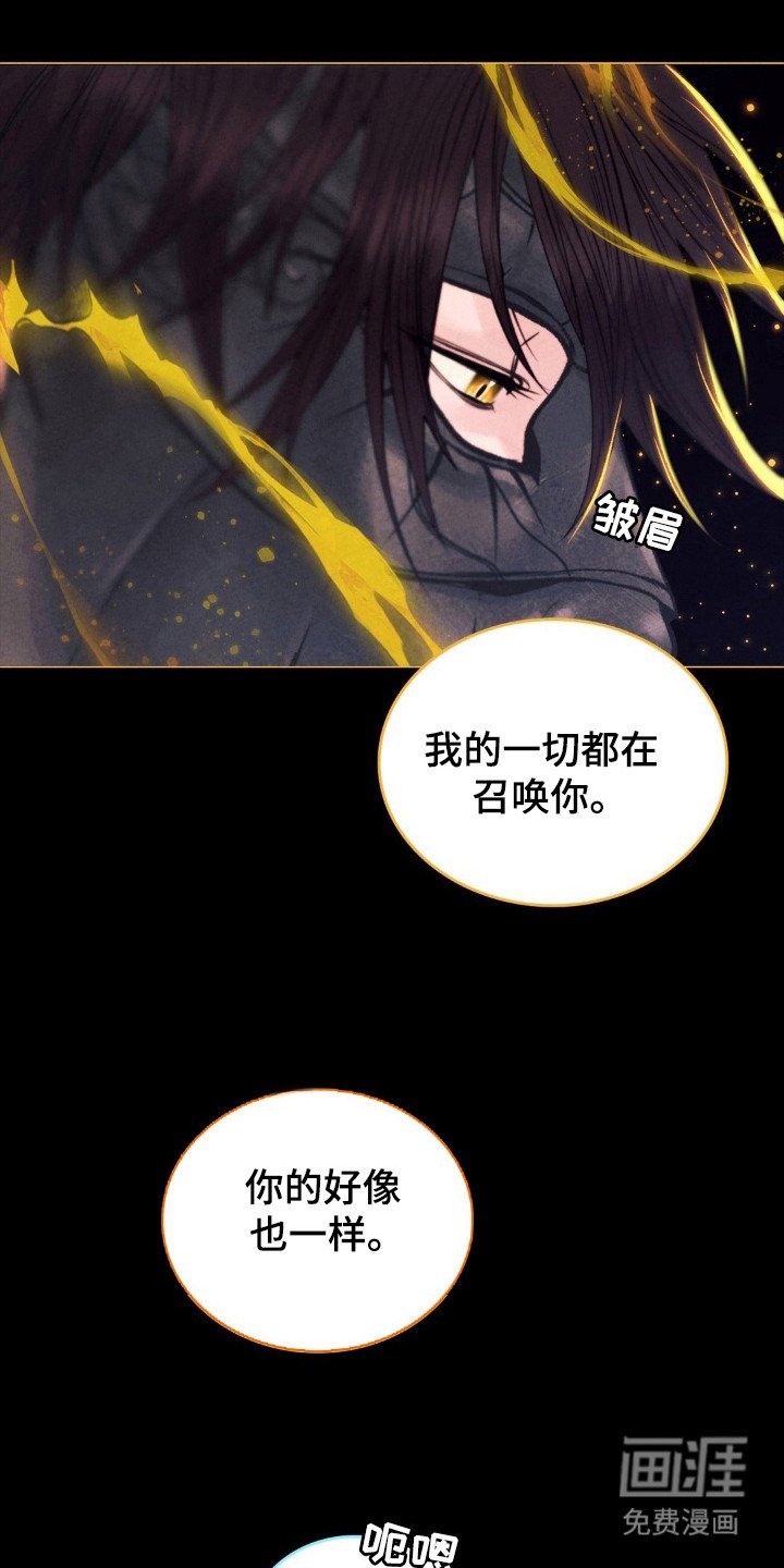 第56章：命运伴侣