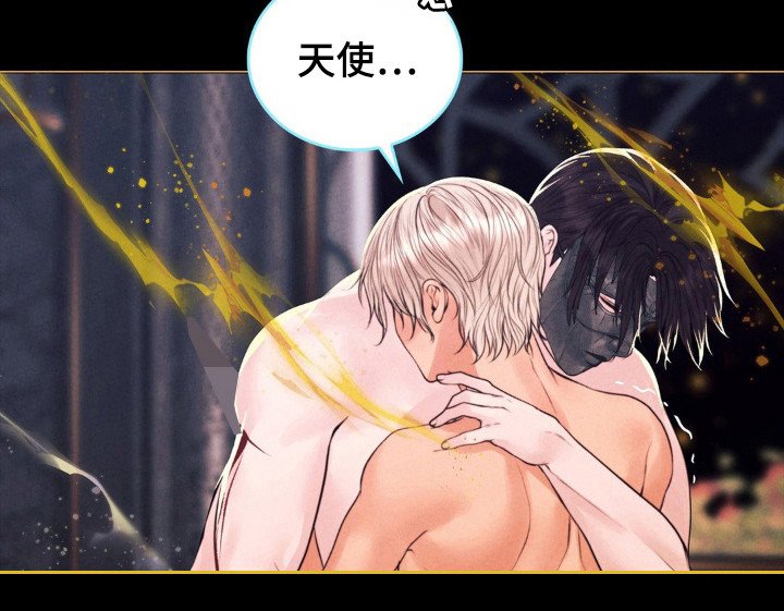 第56章：命运伴侣