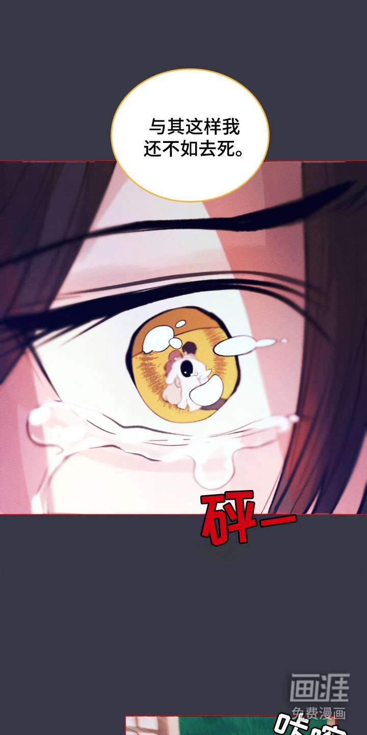第66章：厌恶