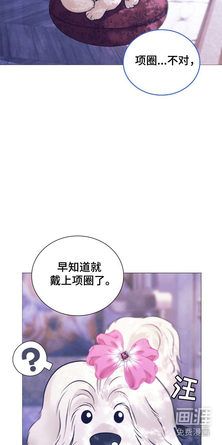 第78章：固执