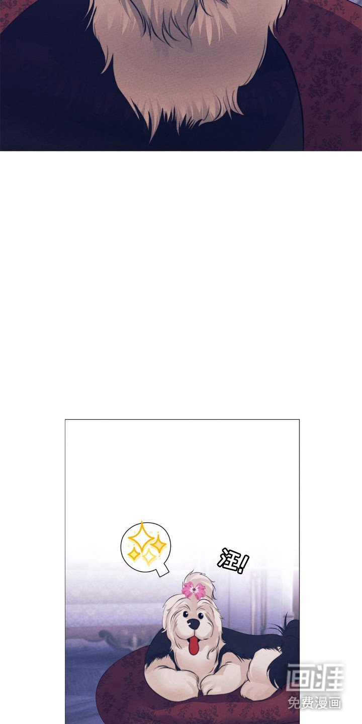 第78章：固执