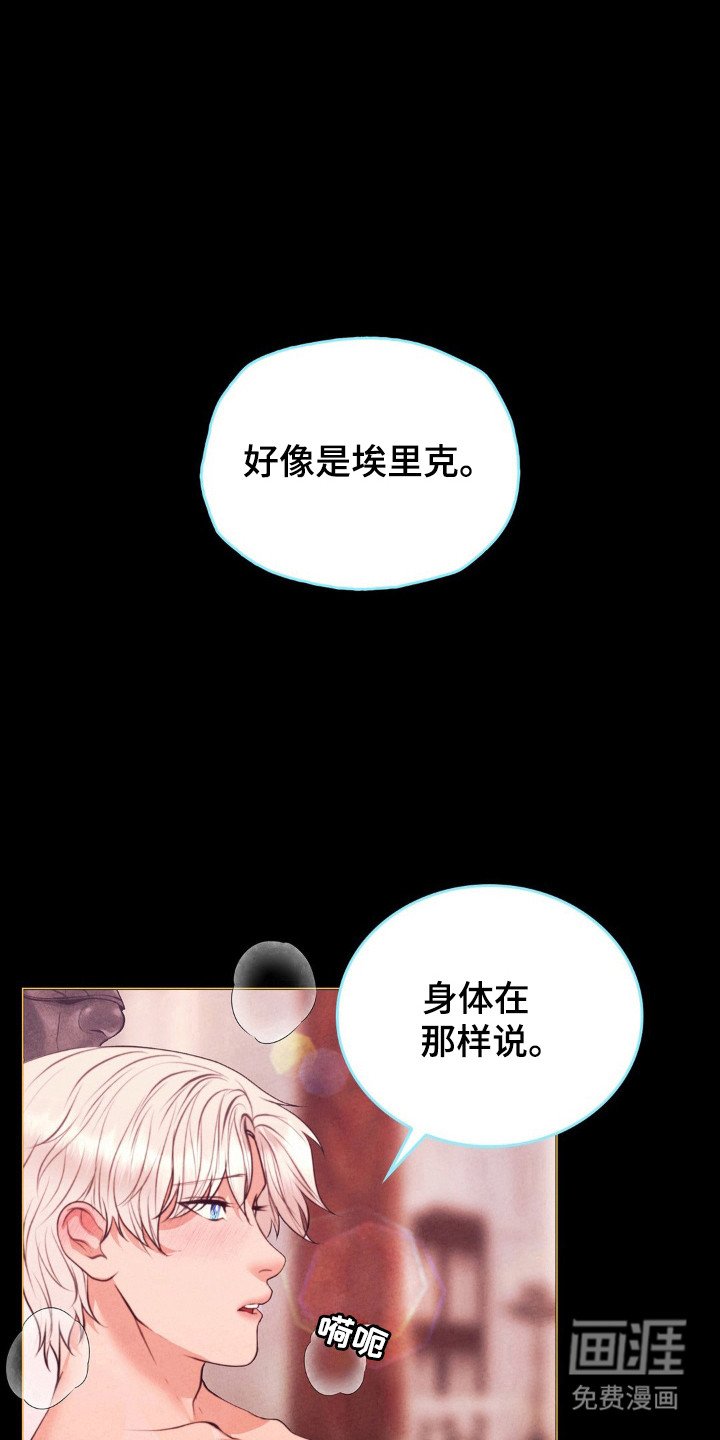 第82章：命运伴侣