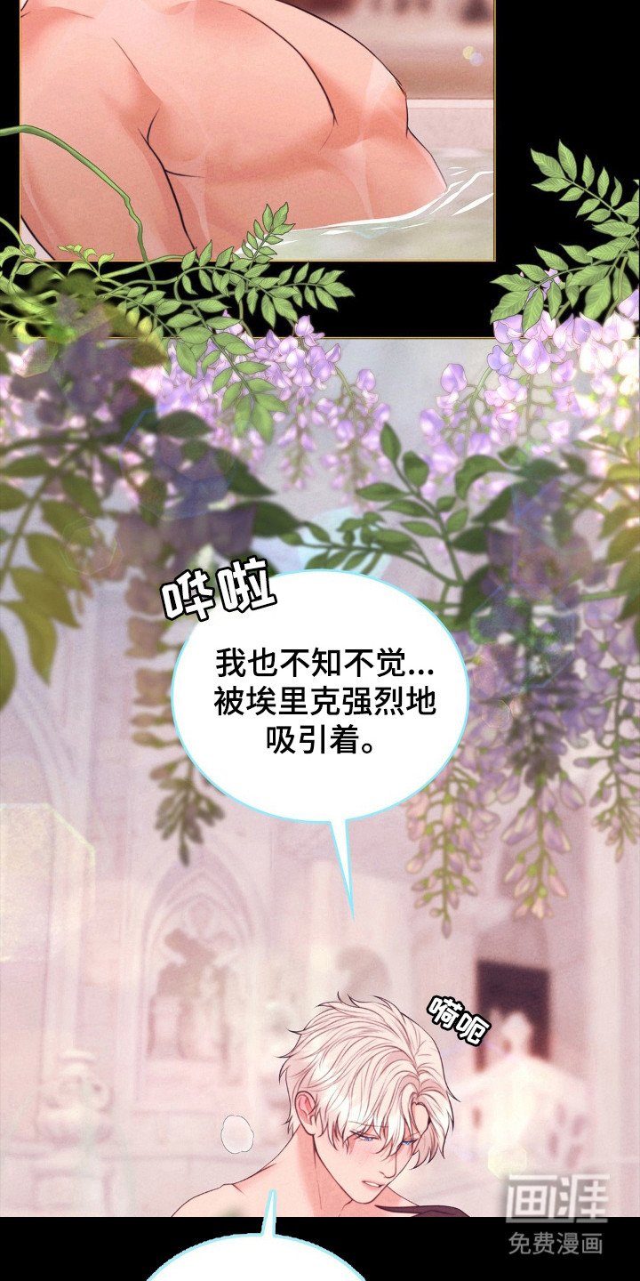 第82章：命运伴侣