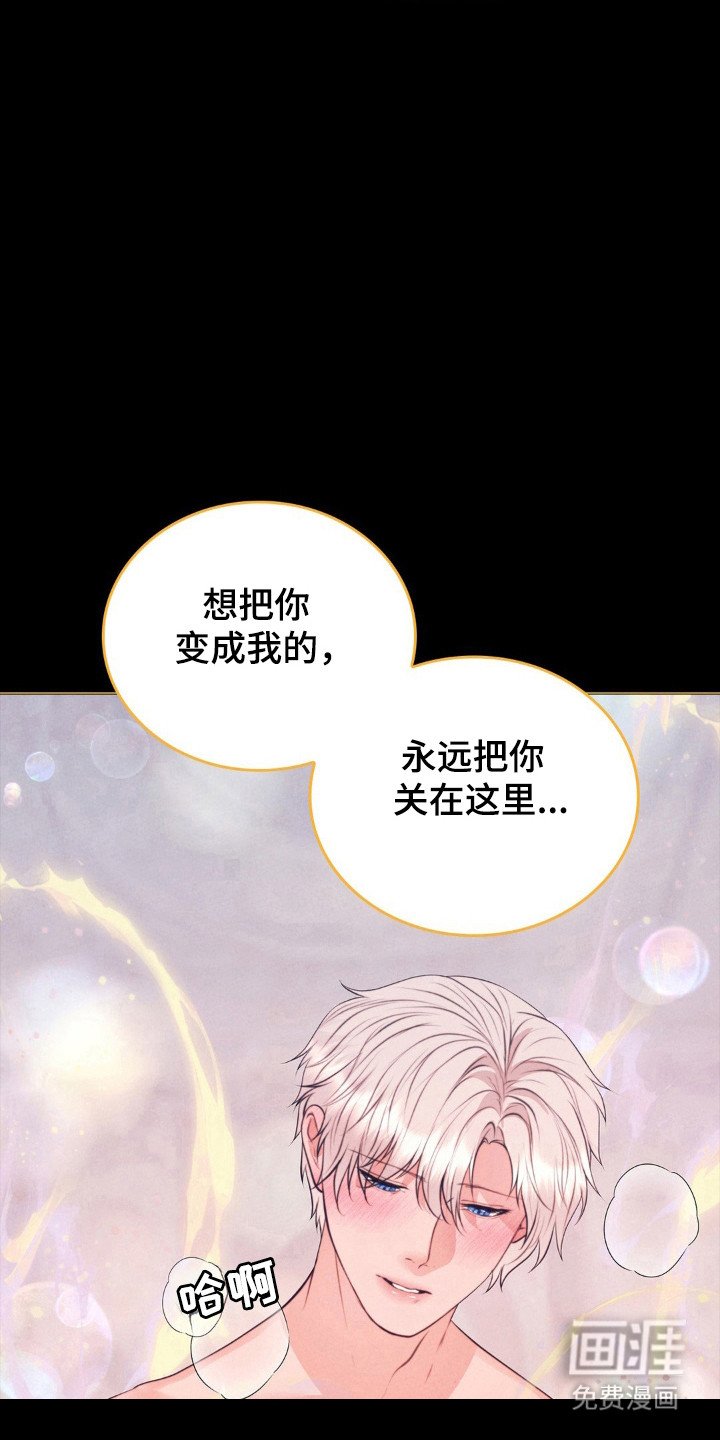 第82章：命运伴侣