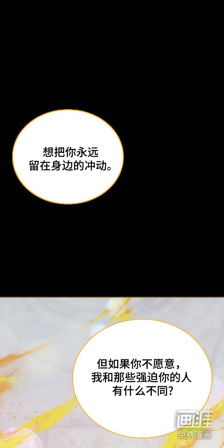 第82章：命运伴侣