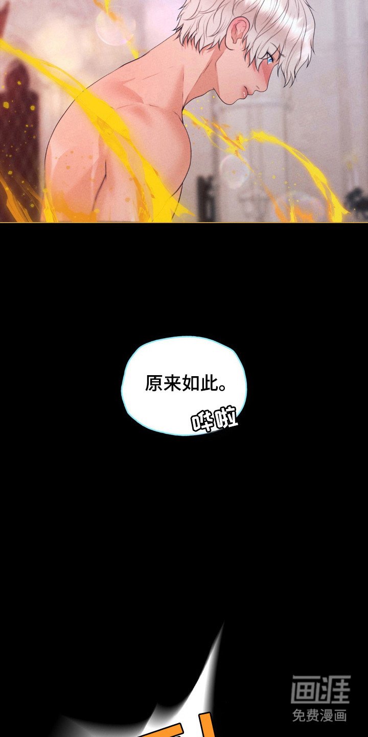第82章：命运伴侣