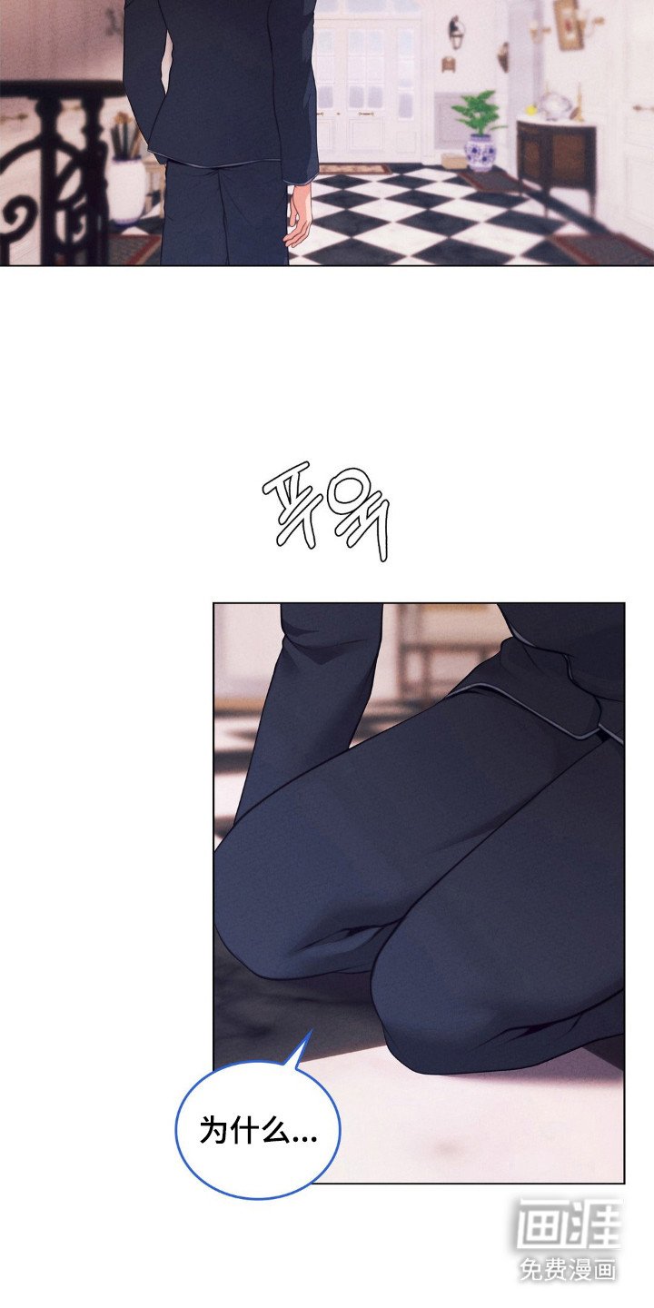 第99章：四个条件